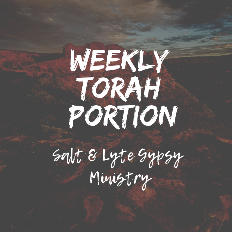 The weekly torah portion